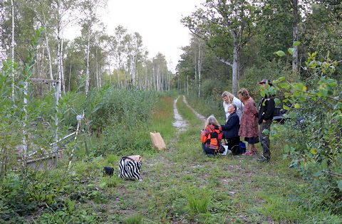 Killingmyr, vtmark, Hejnum, Karin Mrtensson