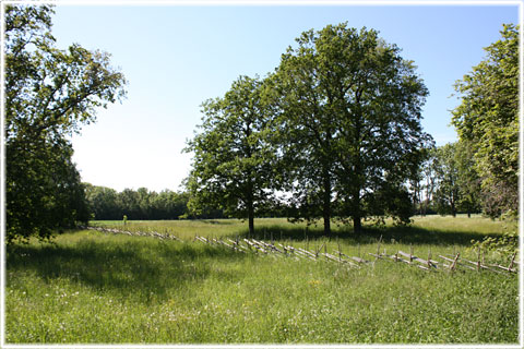 Gotland, Stora Havor - foto: Bernt Enderborg