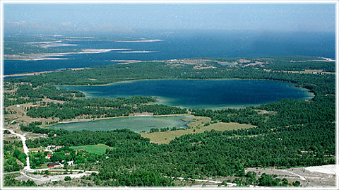 Gotland, Hau träsk - foto: Björn Pettersson