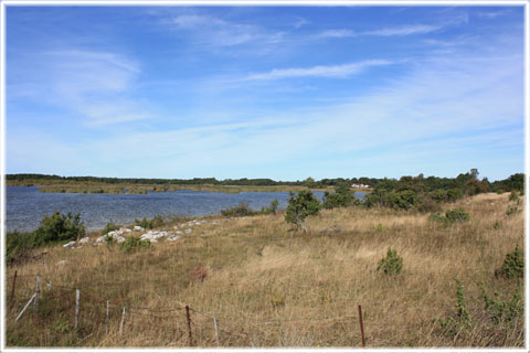 Gotland, Mölnor träsk - foto: Bernt Enderborg