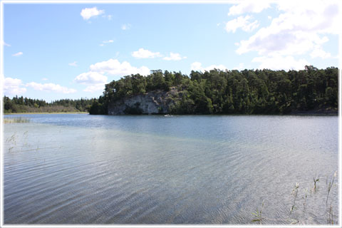 Gotland, Rammträsk - foto: Bernt Enderborg