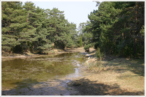 Gotland, Gamle hamn - foto: Bernt Enderborg