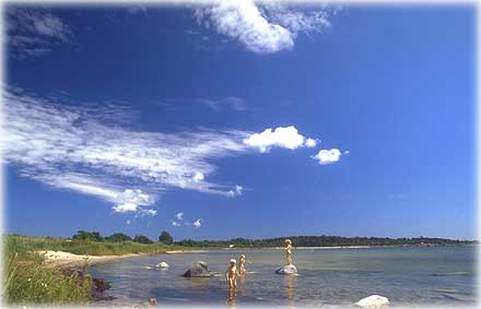 Gotland, Alnäsa på Fårö - foto: Björn Pettersson