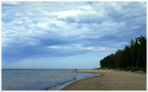 Gotland, Skär på Fårö - foto: Björn Pettersson