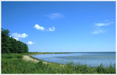 Gotland, Mölnorviken - foto: Björn Pettersson