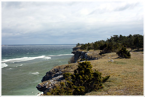 Gotland, Hallshuk - foto: Bernt Enderborg