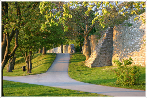 Gotland, Murfallet - foto: Bernt Enderborg