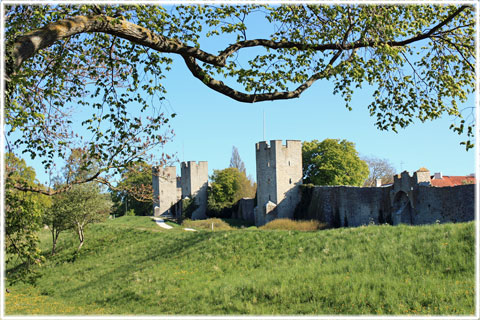 Gotland, Nordergravar - foto: Bernt Enderborg