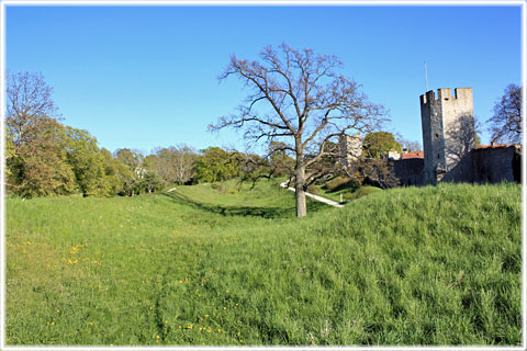 Nordergravar, Visby ringmur