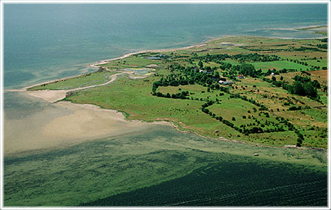 Gotland, Grötlingboudd - foto: 0