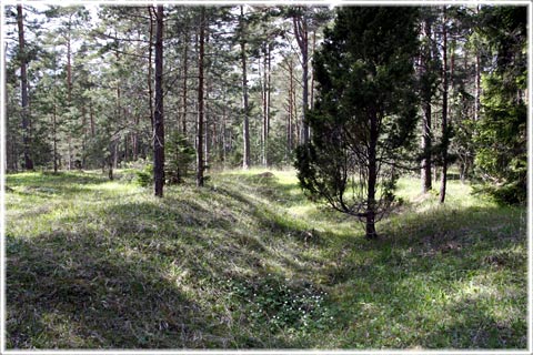 Fornborg, Strandridare Ahlboms väg