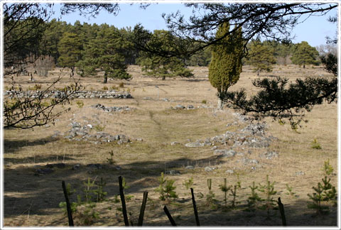 Gotland, Vallhagar järnåldersby - foto: Bernt Enderborg