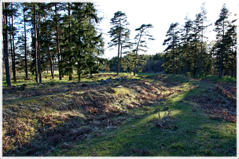 Gotland, Fornborgen vid Tings backe - foto: Bernt Enderborg