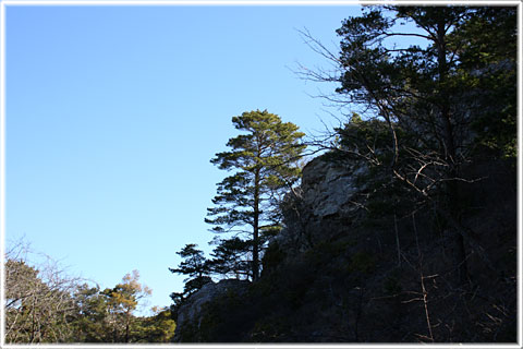 Bergbetningen, naturreservat Visby