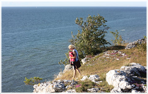 Gotland, Björkume naturreservat - foto: Bernt Enderborg