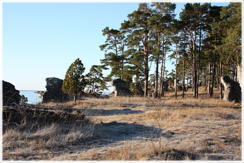 Raukar vid Hideviken