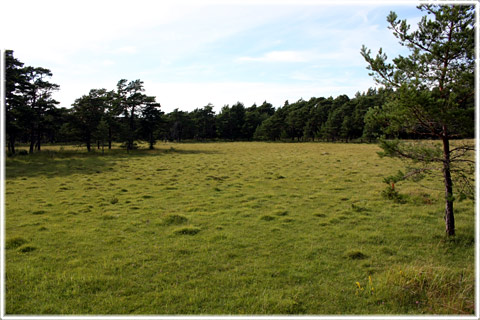 Gotland, Hägsarve kärräng - foto: Bernt Enderborg