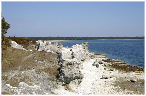 Gotland, Raukar på S:t Olofsholm - foto: Bernt Enderborg