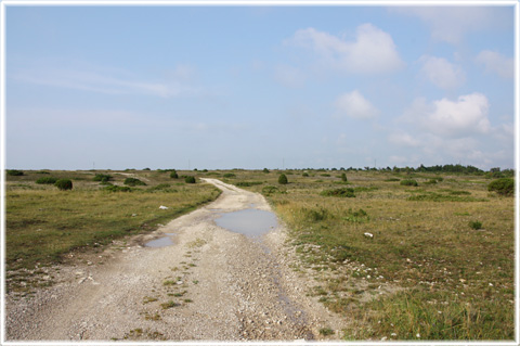 Gotland, Vaktbackar - foto: Bernt Enderborg