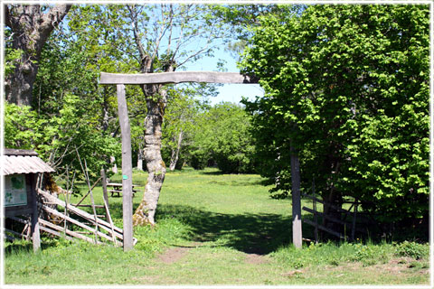 Gotland, Mullvalds änge - foto: Bernt Enderborg