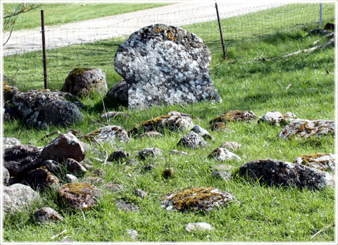 Gotland, Bildstenar i det fria - foto: Bernt Enderborg