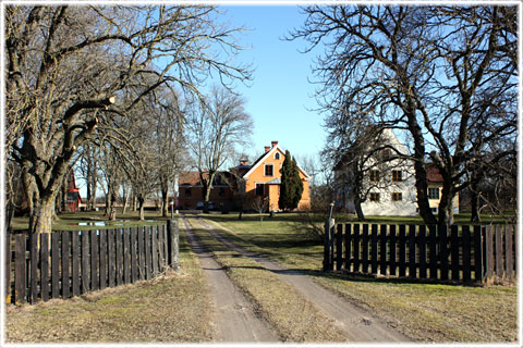 Gotland, Diskarve - foto: Bernt Enderborg