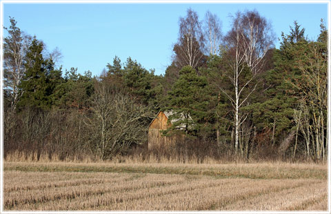 Gotland, Ejmunde vattenkvarn - foto: Bernt Enderborg