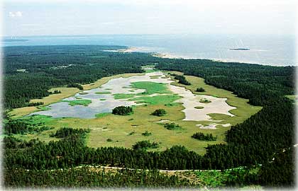 Gotland, 25 juli 2003 - foto: Bernt Enderborg