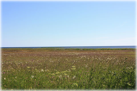 Strandng i Anga, Bajnge