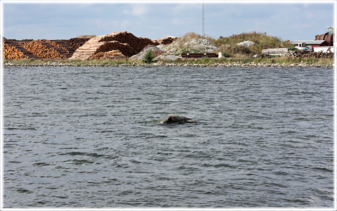 Barlastkajen i Klintehamn, Balan