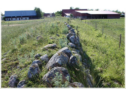 Gotland, Vikingarnas Västergarn - foto: Bernt Enderborg