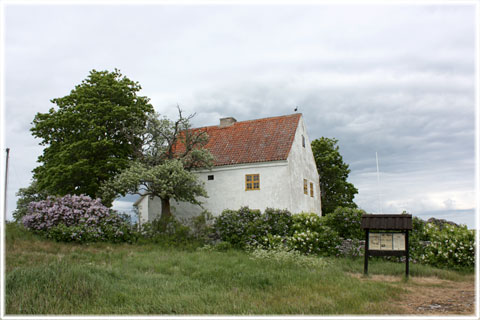 Gotland, Groddagården - foto: Bernt Enderborg