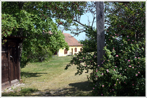 Gotland, Strandridaregården Kyllaj - foto: Bernt Enderborg