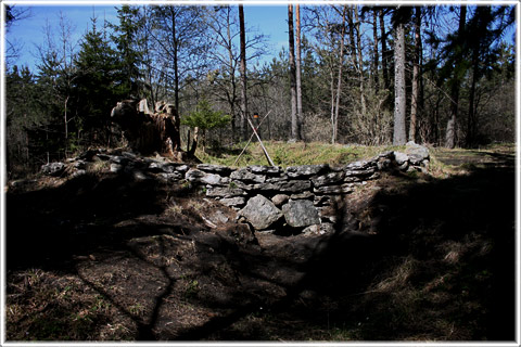 Gotland, En sojde i Garde - foto: Bernt Enderborg