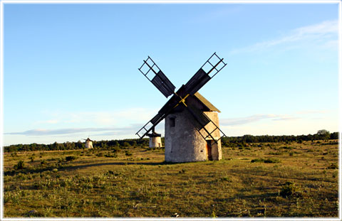 Gotland, Hundlausar - foto: Bernt Enderborg