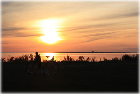 Gotland, Det är så starkt på Gotland - foto: Bernt Enderborg