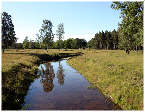 Gotland, Ett gotländskt vattendrag - foto: Bernt Enderborg