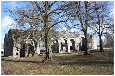 Gotland, Skelett i vindarna - foto: Bernt Enderborg