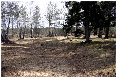 Gotland, Guldrupe fornborg - foto: Bernt Enderborg