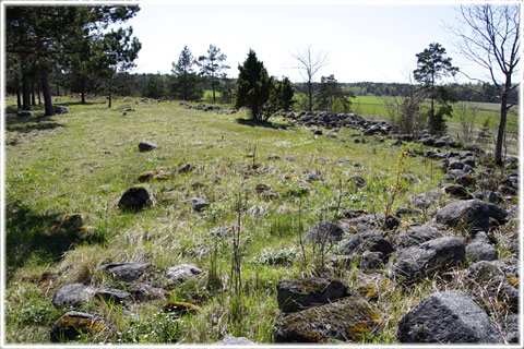 Gotland, Tomase fornborg - foto: Bernt Enderborg