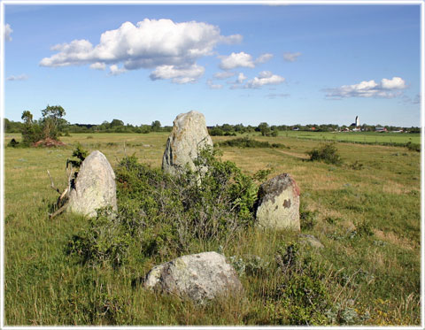 Gotland, Jusarve - foto: Bernt Enderborg