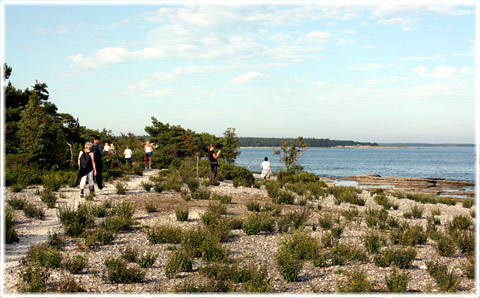 Gotland, Allt för vandraren - foto: Bernt Enderborg