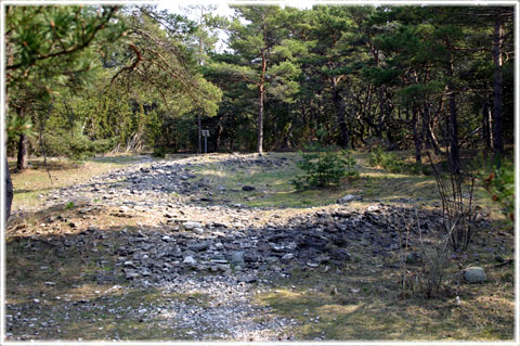 Gotland, S:t Ole på Fårö - foto: Bernt Enderborg