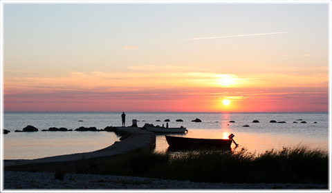 Gotland, Foro de vida - runristningar - foto: Bernt Enderborg