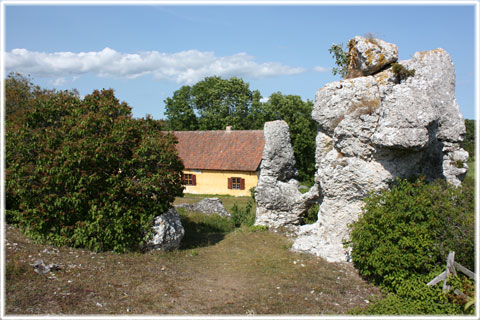 Gotland, Vi skämmer ut oss - foto: Bernt Enderborg