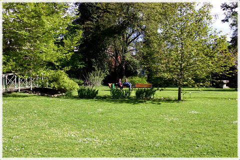 Gotland, Ett andningshål - Botaniska trädgården - foto: Bernt Enderborg