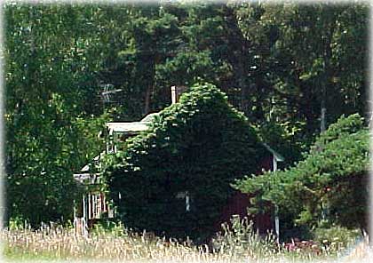 Gotland, Tänk va skönt - foto: Bernt Enderborg