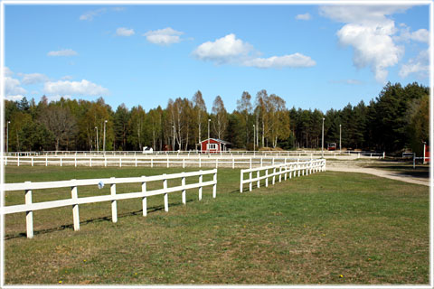 Gotland, Gropen i Stånga - foto: Bernt Enderborg