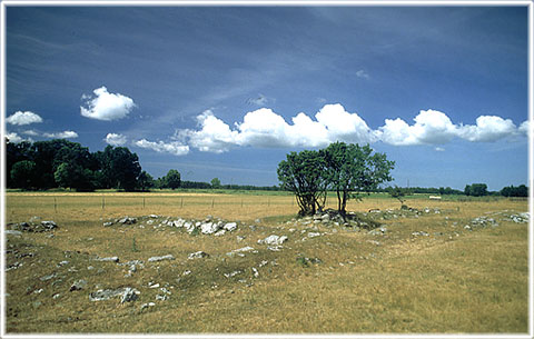 Gotland, Rings i Hejnum - foto: Björn Pettersson