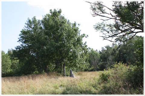 Gotland, Stavars skatt - foto: Bernt Enderborg